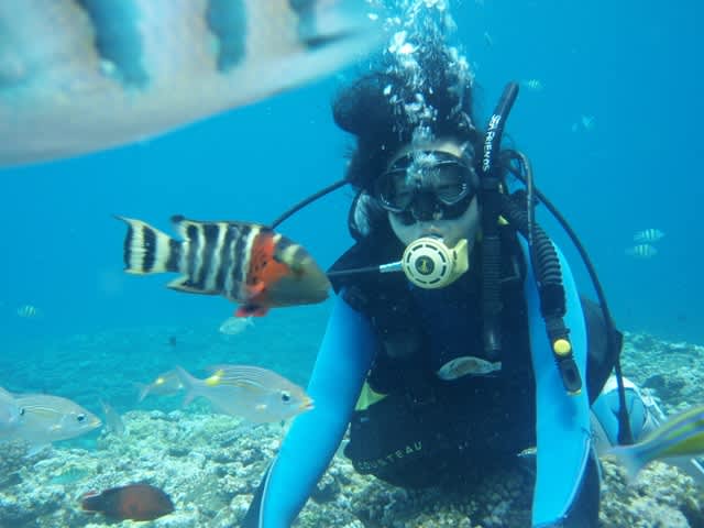 P6240055_2 P6240055_2