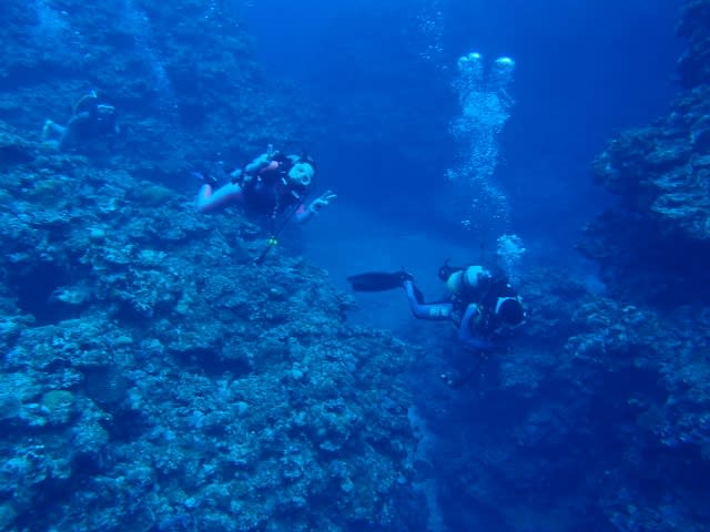 Pa200021_640x480 Pa200021_640x480