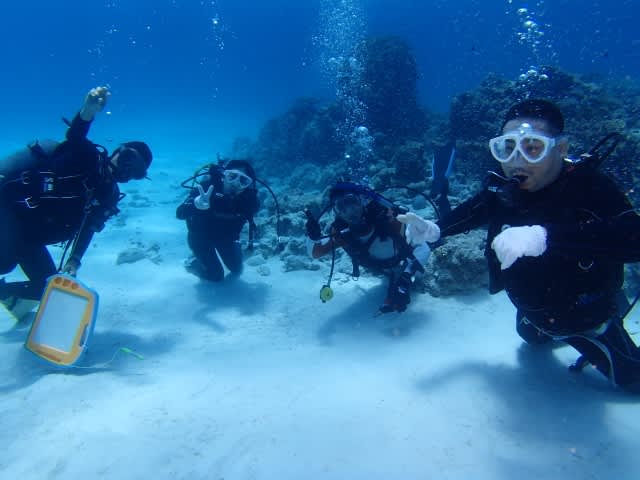 P7220032_640x480 P7220032_640x480