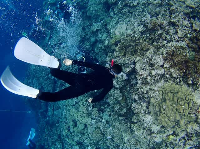 Pa250005_640x479 Pa250005_640x479