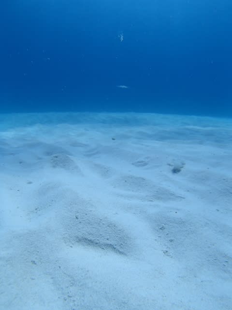 P9250023_480x640 P9250023_480x640