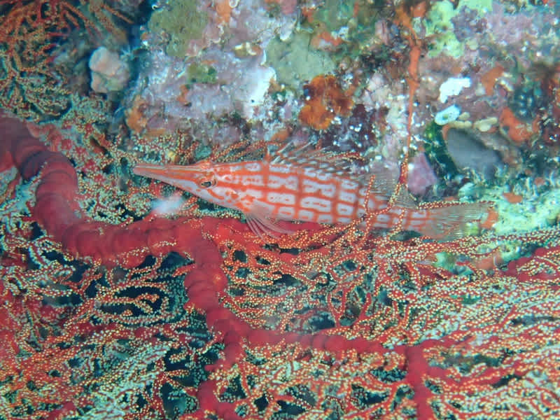 P5310080_1024x768 P5310080_1024x768