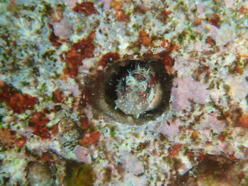 P6270056_800x600 P6270056_800x600