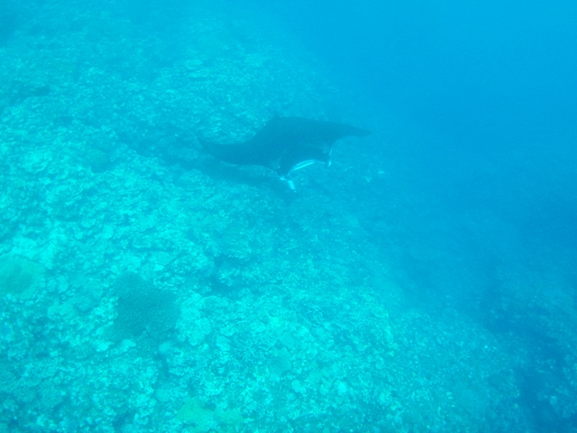 P1010021_2 P1010021_2