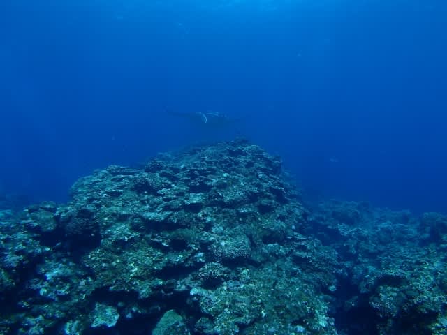 P9146999_640x480 P9146999_640x480