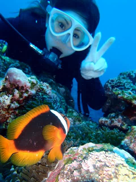 P4200076_480x640 P4200076_480x640