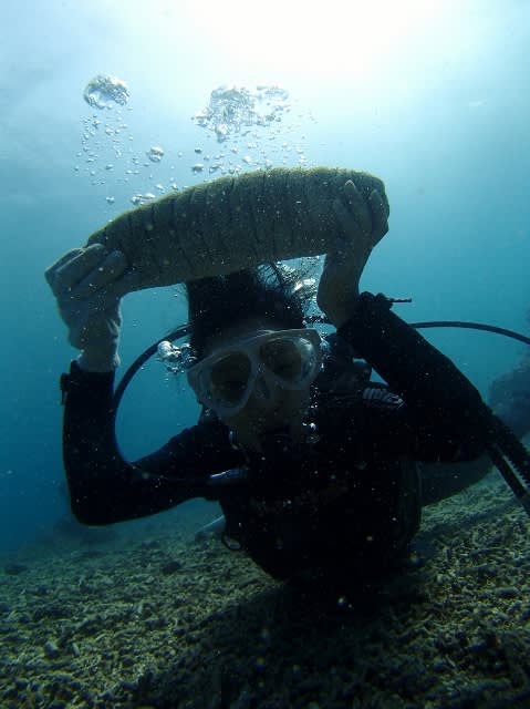 Pa190055_479x640 Pa190055_479x640