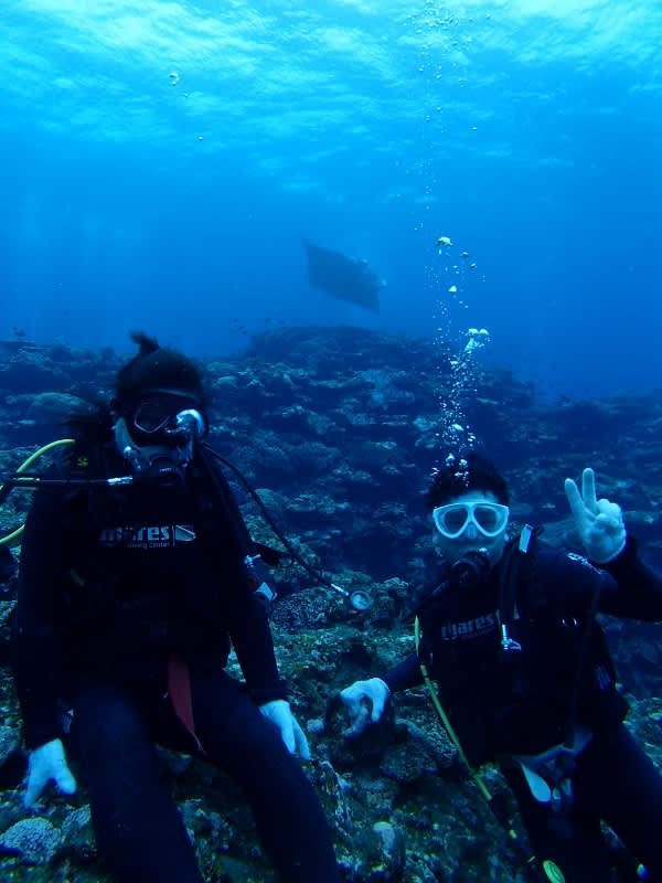 P6260009_600x800 P6260009_600x800