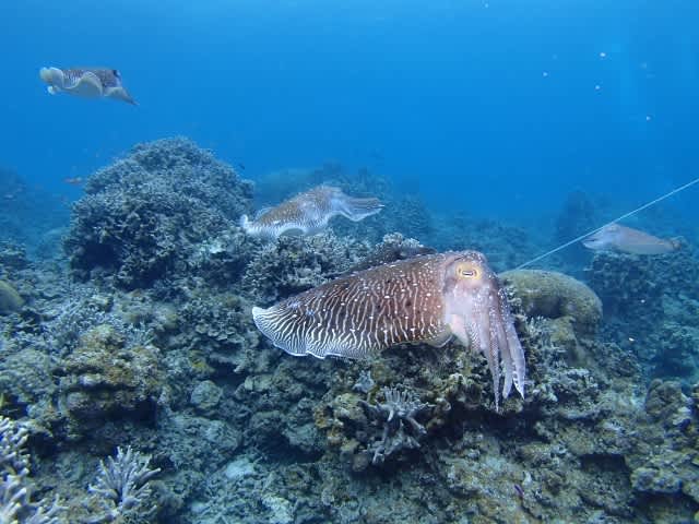 P5050069_640x480 P5050069_640x480