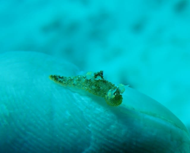 P52700151_640x516 P52700151_640x516