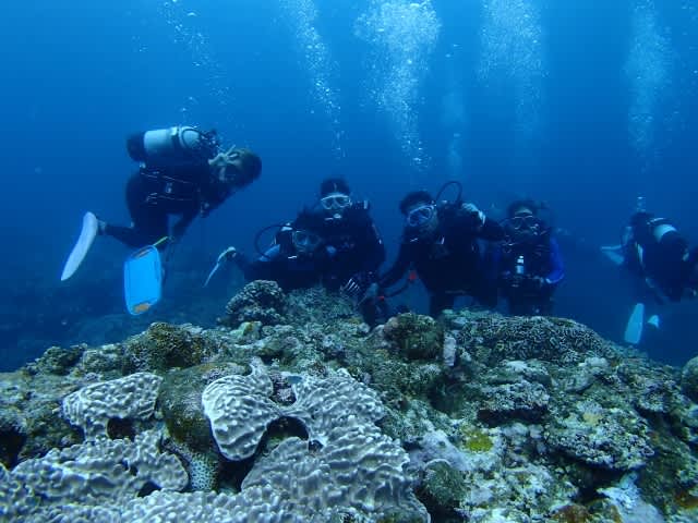 P8140025_640x480 P8140025_640x480