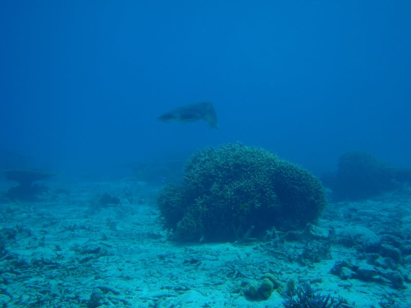 P4080016_800x600 P4080016_800x600