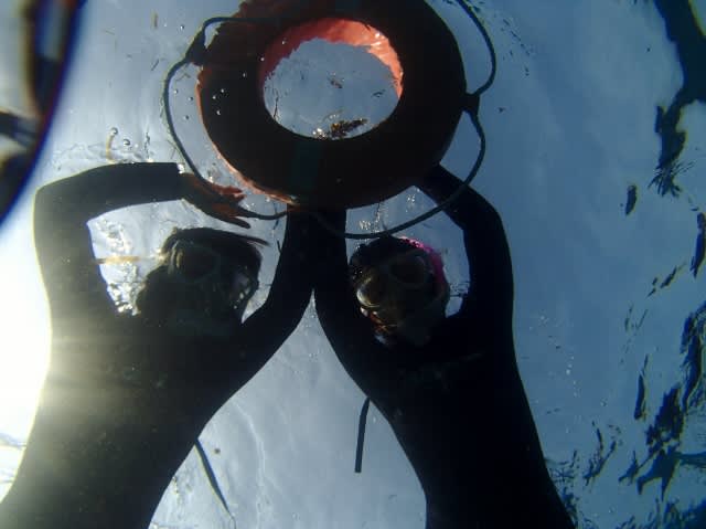 Pa080005_640x479 Pa080005_640x479