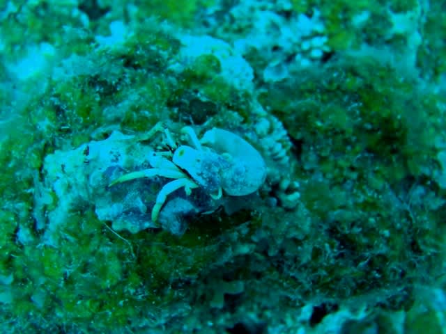 P4030043_640x480 P4030043_640x480