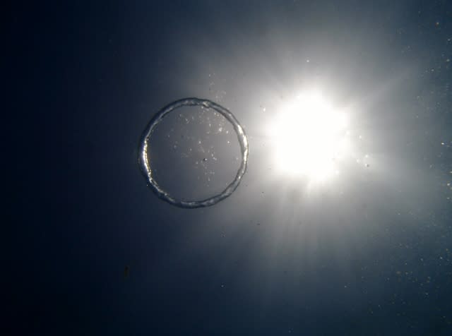 P9030014_640x476 P9030014_640x476