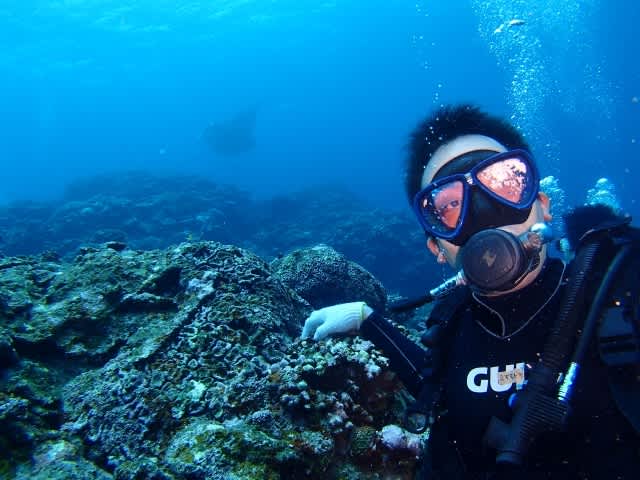 P7193041_640x480 P7193041_640x480