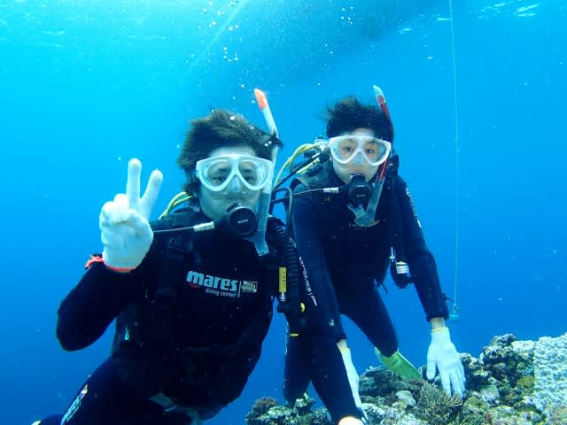 P8195685_640x480 P8195685_640x480