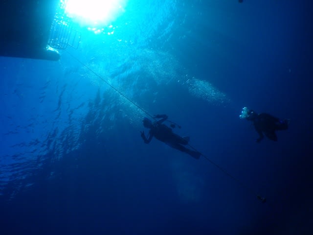 P7150001_3 P7150001_3