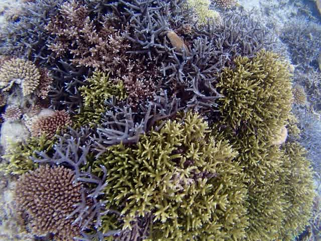 P4270012_640x480 P4270012_640x480