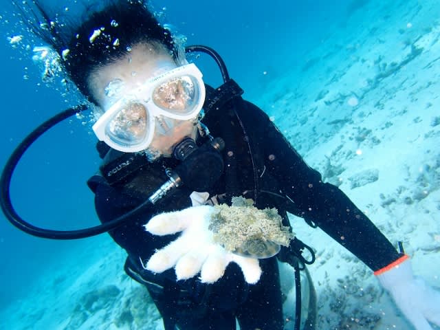 P5251130_640x480 P5251130_640x480