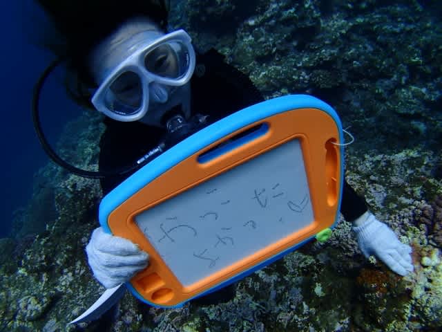 P6300023_640x480 P6300023_640x480