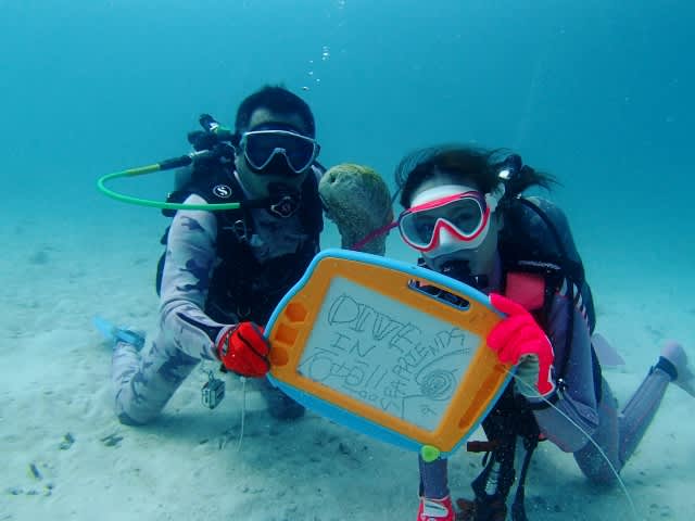 P9197236_640x480 P9197236_640x480