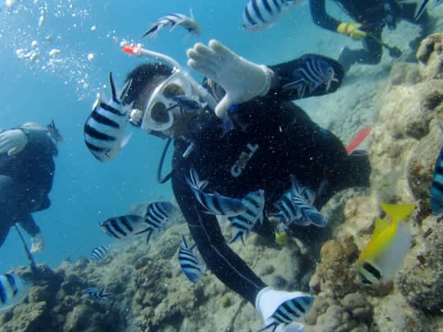 P9240025_640x480 P9240025_640x480