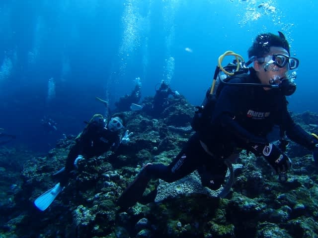 P9230060_640x480 P9230060_640x480