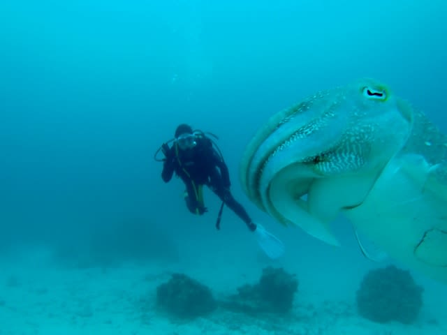 P4030025_640x480 P4030025_640x480