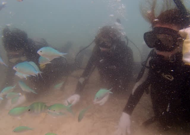 P9036233_640x457 P9036233_640x457