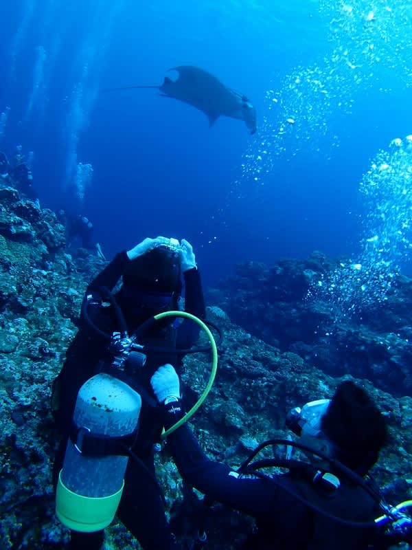 P6270009_600x800 P6270009_600x800