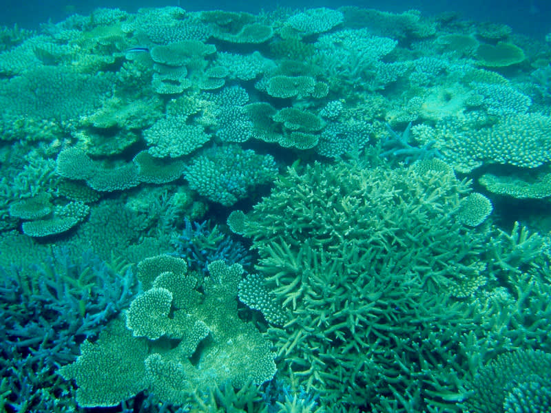 P1010010_2 P1010010_2