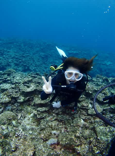 P7190059_474x640 P7190059_474x640