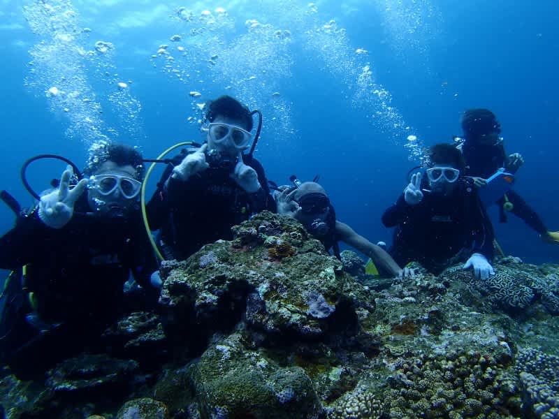 P6250033_800x600 P6250033_800x600