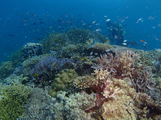 P9150062_640x480 P9150062_640x480