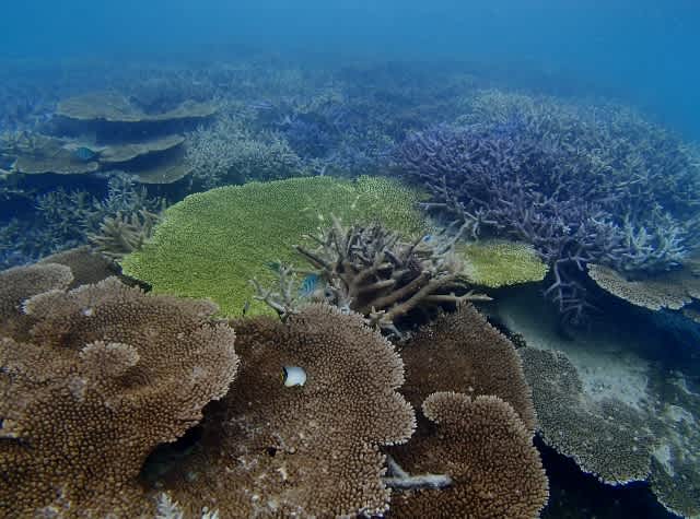 P9016133_640x475 P9016133_640x475