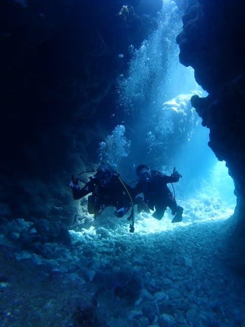 P9307867_480x640 P9307867_480x640