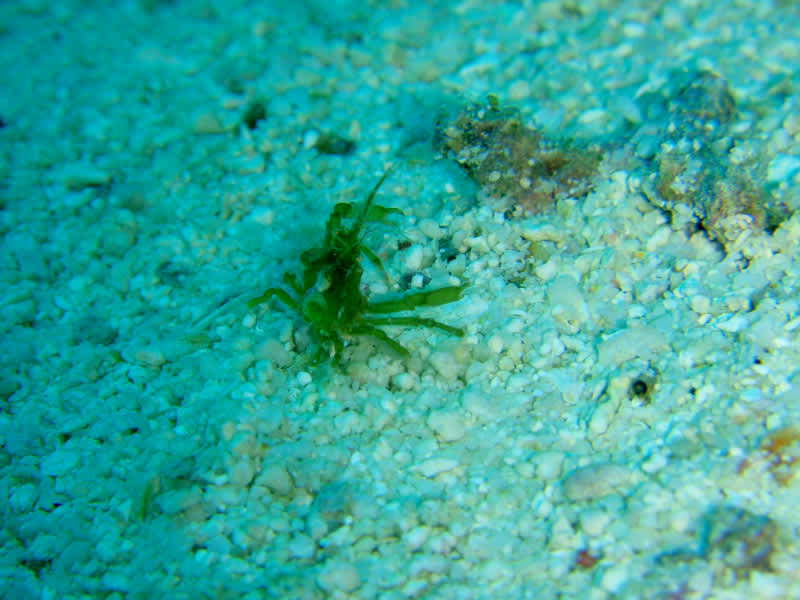 P1010005_2 P1010005_2