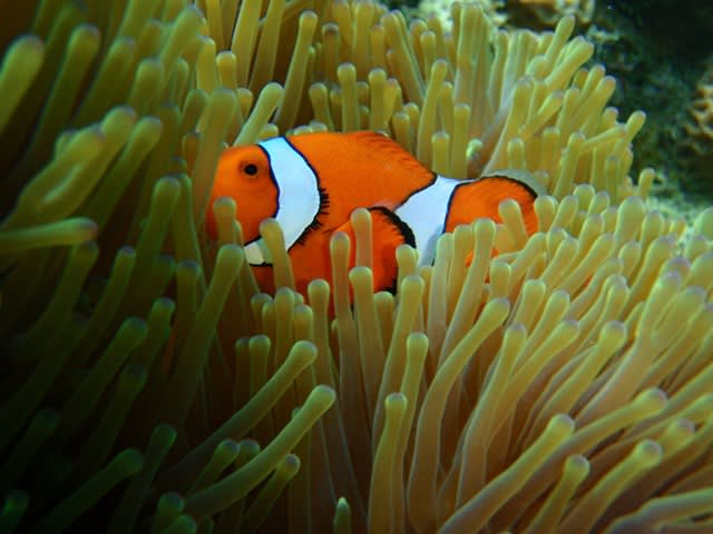 P4280034_2 P4280034_2