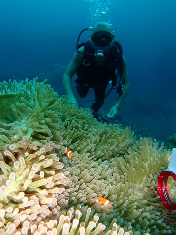 P6260044_600x800 P6260044_600x800