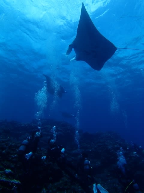 P9220061_640x480 P9220061_640x480