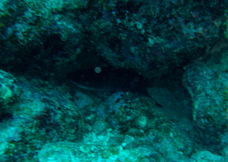 Gedc0022_2 Gedc0022_2