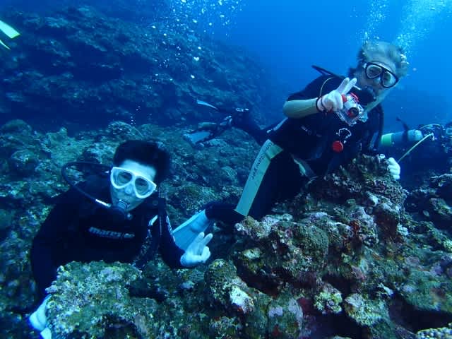 P9290070_640x480 P9290070_640x480