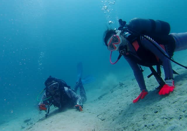 P9197217_640x449 P9197217_640x449