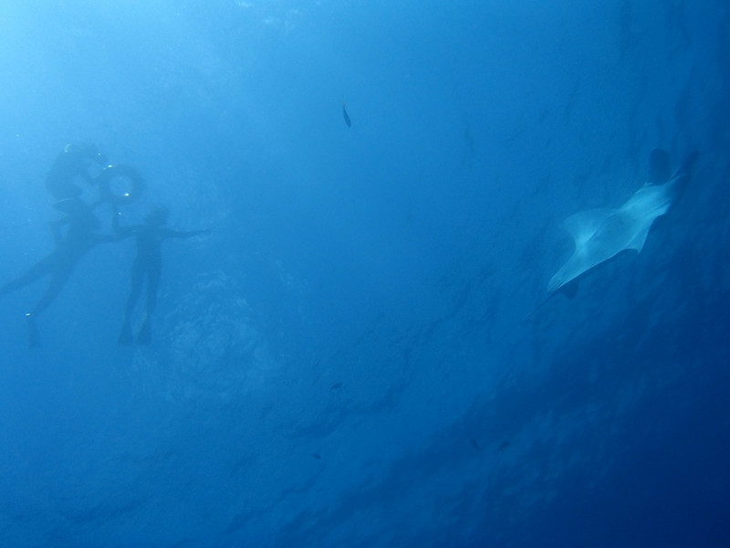 P5300051_1024x768 P5300051_1024x768