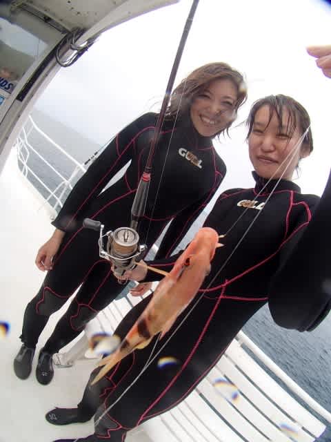 P9300031_480x640 P9300031_480x640