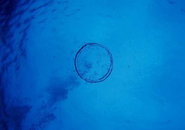 P8195708_640x452 P8195708_640x452