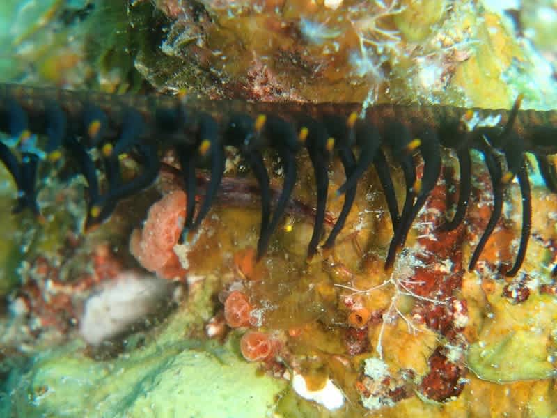 P61600071_800x600 P61600071_800x600