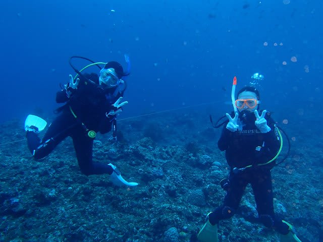 P4210024_2 P4210024_2