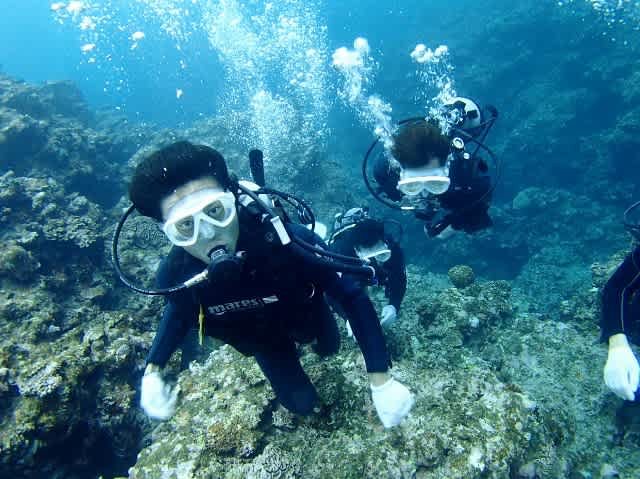 P7170053_640x479 P7170053_640x479